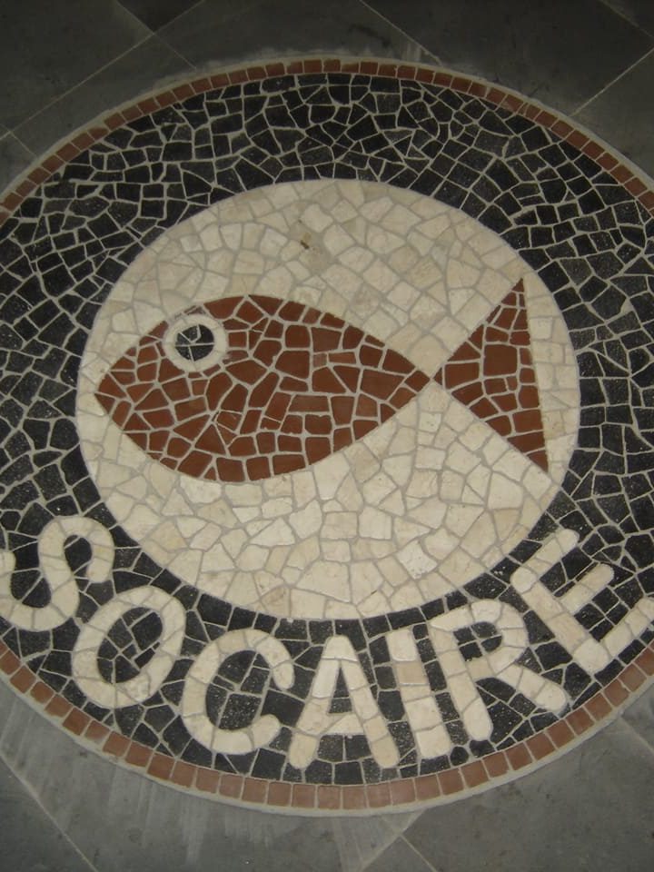 Bar Socaire